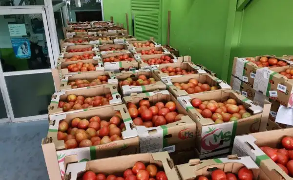 Venta en físico